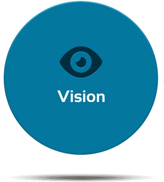 Vision